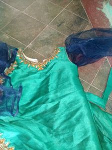 Elegant Green &amp; Blue Ethnic Dress