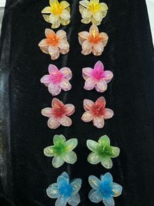 Flower Hair Clips - Set