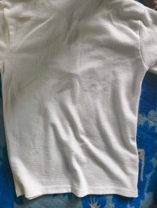 Stylish White Polo T-Shirt