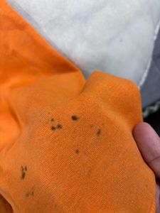 Unisex H&amp;M Hoodie orange | XL size | Winter Wear