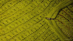 Green Sweater