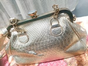 Beautiful Ladies Golden Bag 👜
