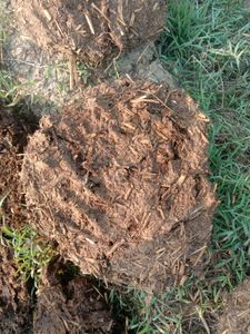 Upla/thepri/Cow Dung Cake