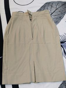 Beige Pencil Skirt