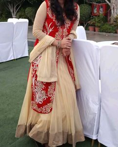 Embroidered Indian Dress