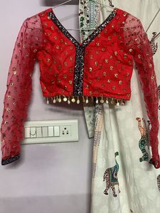 Beautiful Fish Cut Skirt With Full Sleeves Blouse