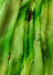 SHADED GREEN SAREE