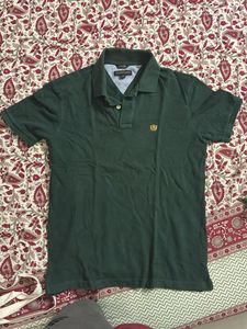 Green Polo Shirt