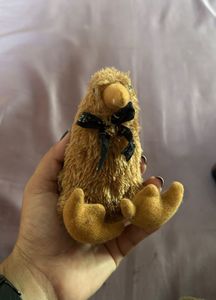 Small Kiwi Bird