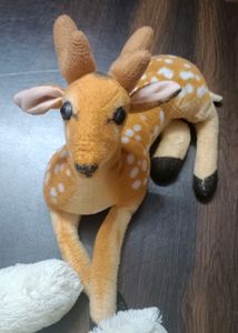Kids Toys