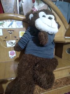 Wow monkey 🙊
