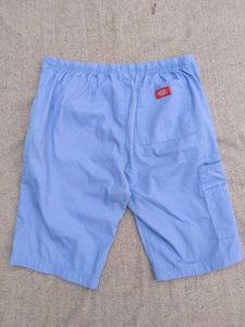Dickies Shorts