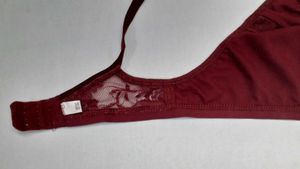Marron Net Bra n  Panty Set
