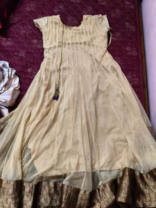 Elegant Ethnic Gown
