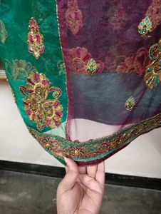 net saree with superb contrast with blouse