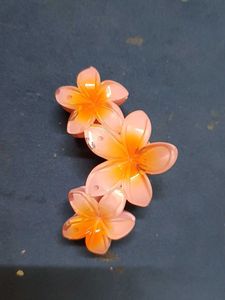 Hawaii Hair Claw Clip