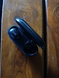 boat air buds