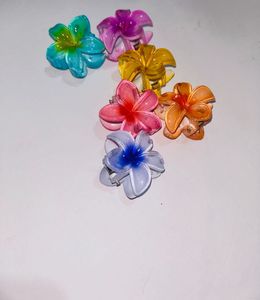 MINI CLAW CLIPS (pack Of 6)