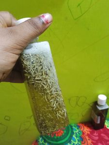 Homemade Rosemary oil
