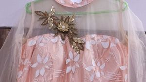 Elegant Ethnic Gown
