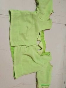 Light Green Embellished Saree