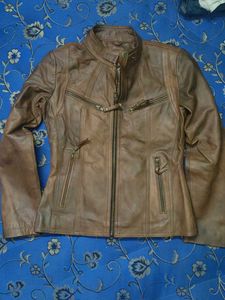 Leather Brown Jacket