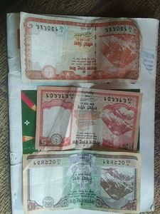 A Combo Set Of Foreign Country Nepal Note Of Rs 10,5,20 Fully New Please 🥺❤️ Buy