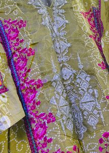 Pakistani Patch Suit
