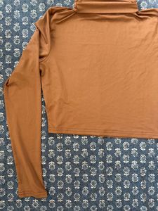 Brown Turtleneck Long Sleeve Top