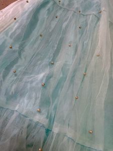Lehenga Choli/ Skirt / Festive Wear
