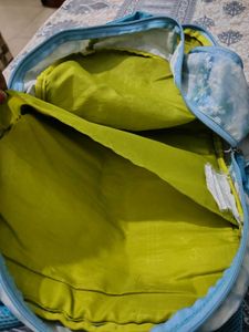 Frozen Backpack