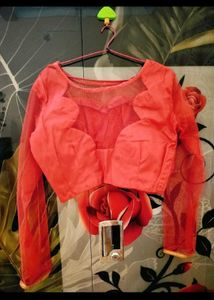 Unused New Blouse