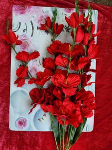 Red Hibiscus Flower Bunch