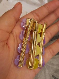 Hair Clips
