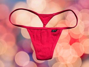 Combo of 4 Panties