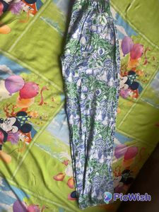 Beautiful Light Green Trouser