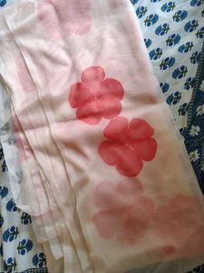 Baby Pink Organza Hand Painted Dupatta