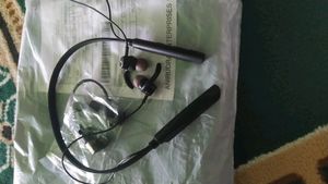 Earbuds