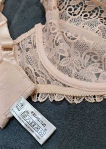 Elegant Lace Bra 38D