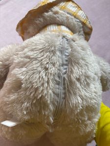 Teddy Bear Cute