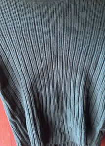 Green Turtle Neck Full Sleeve Fiitted Top