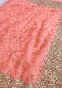 Beautiful Net Saree