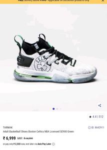 Adult Basketball Shoes Boston Celetics