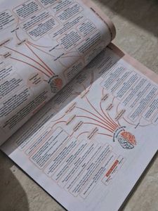 Owaal Social Science cbse sample paper class 10