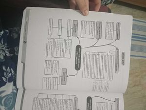 Business Studies Class XII - Volume 1