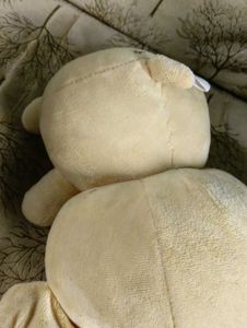 Sanrio Pompompurin One Ear Plushie