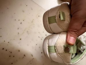 Casual white Shoes