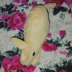A Cute Bunny Soft Toy