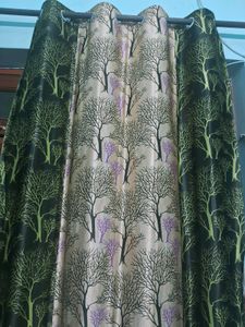 Curtain