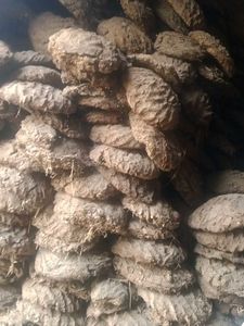 Organic Fertilizer Cow Dung Cake Pack Of 5